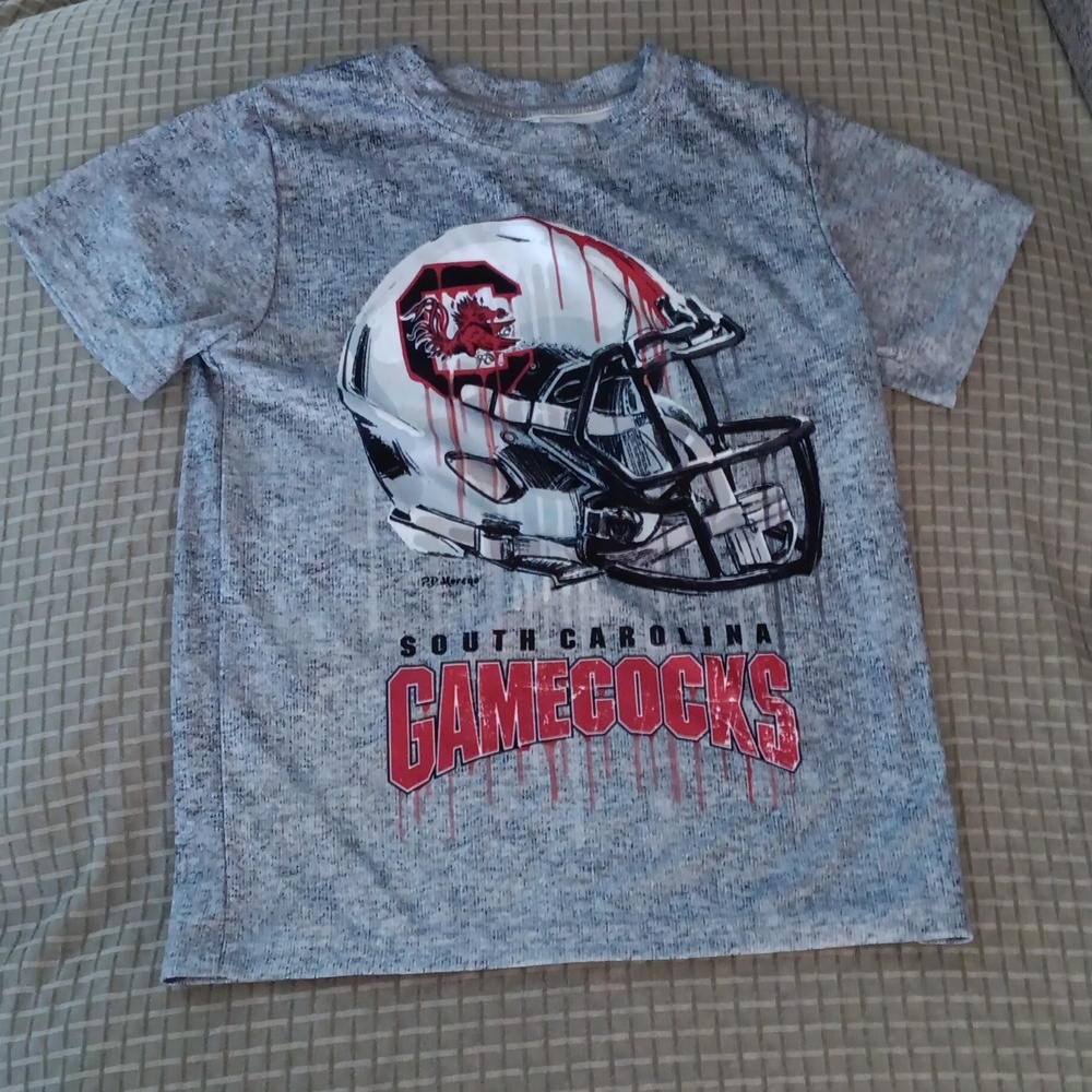 Boys South Carolina Gamecocks Jersey and White Pants Football Set - Picture 6 of 8